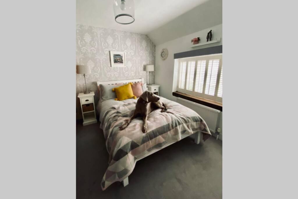 Angel Cottage, Boxgrove, Chichester - Relax And Unwind Екстериор снимка